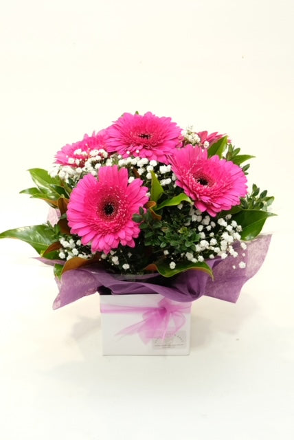 Gorgeous Gerberas